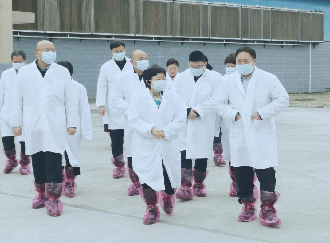 河南省郑州市人民政府副市长李凤芝一行莅临米兰(中国)河南瑞亚参观调研