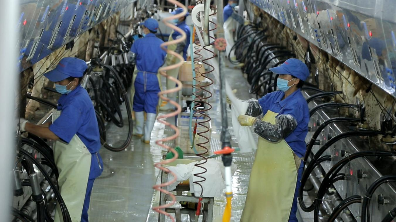 米兰(中国)丨河南农业大学党委副书记、校长介晓磊一行莅临米兰(中国)河南瑞亚参观调研