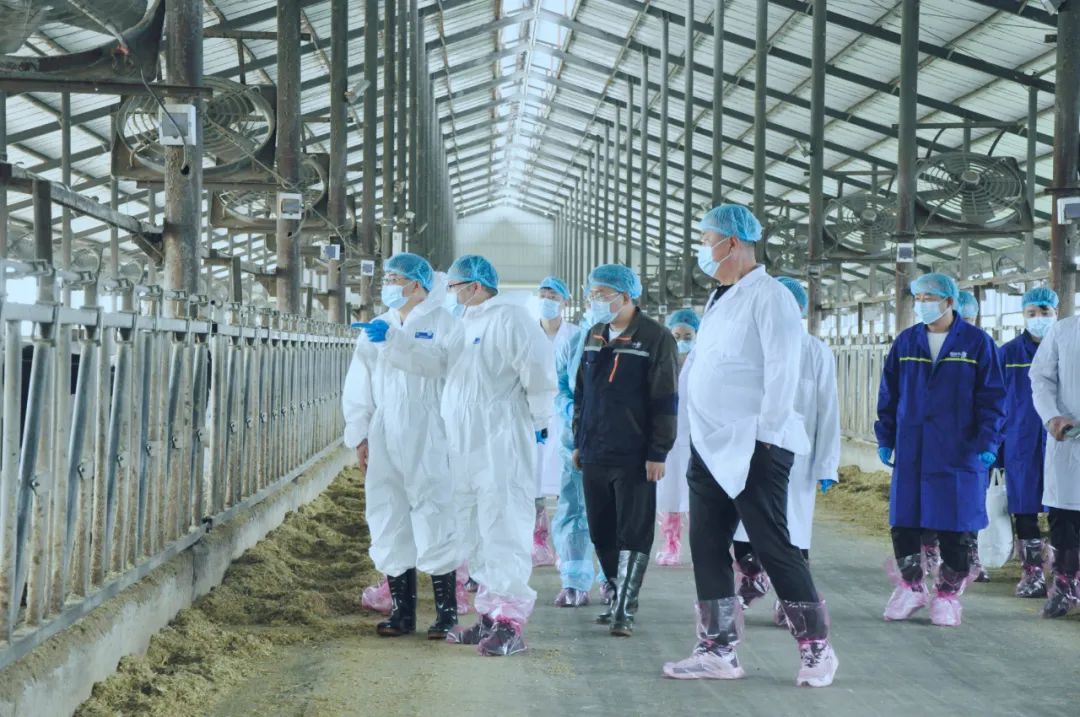 米兰(中国)丨国家奶牛产业技术体系首席科学家、中国农业大学教授李胜利一行莅临米兰(中国)鲁山瑞亚参观调研