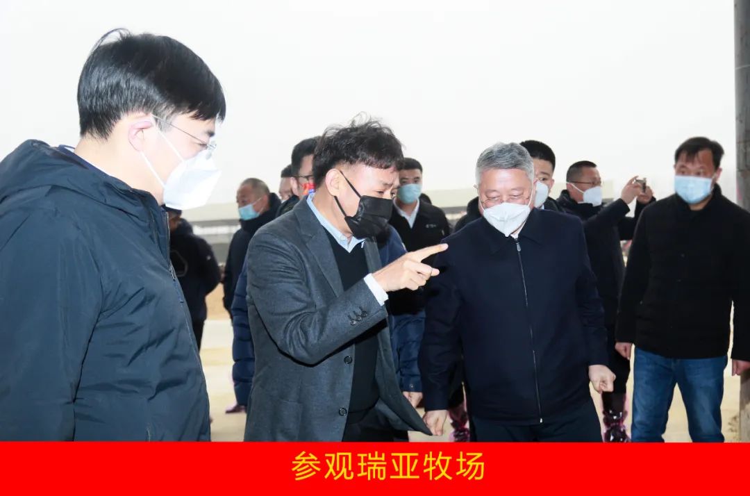 新年开新局 合作促发展丨佳木斯市委常委、副市长闫志刚一行莅临米兰(中国)乳业集团及佳田企业考察座谈