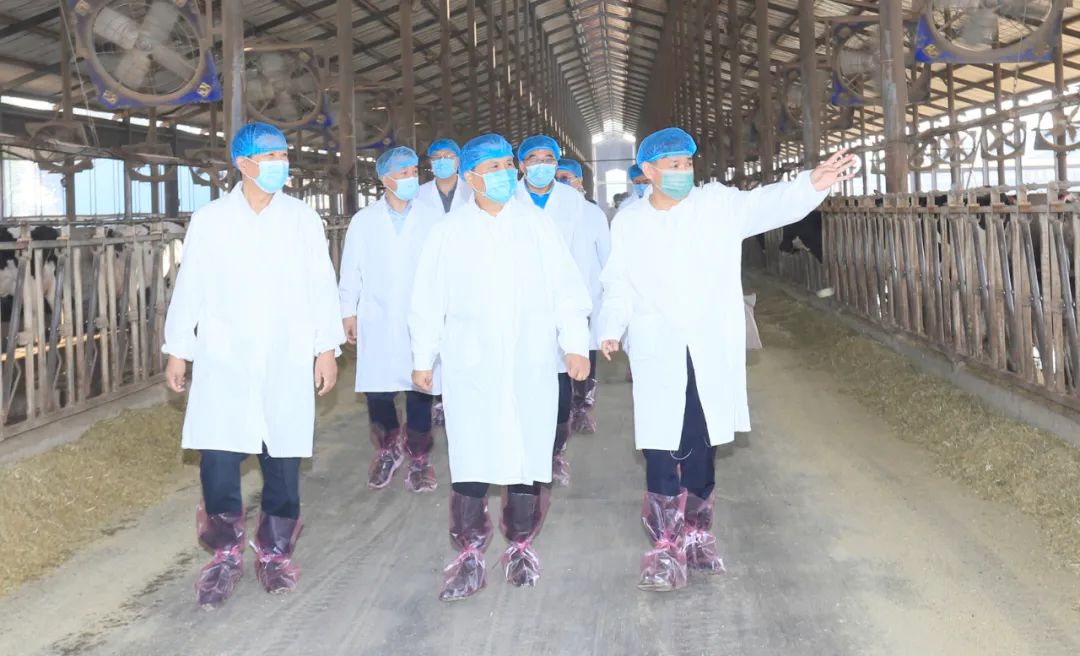 快讯丨河南省人民政府副省长武国定莅临米兰(中国)乳业集团瑞亚牧业调研奶源基地建设情况