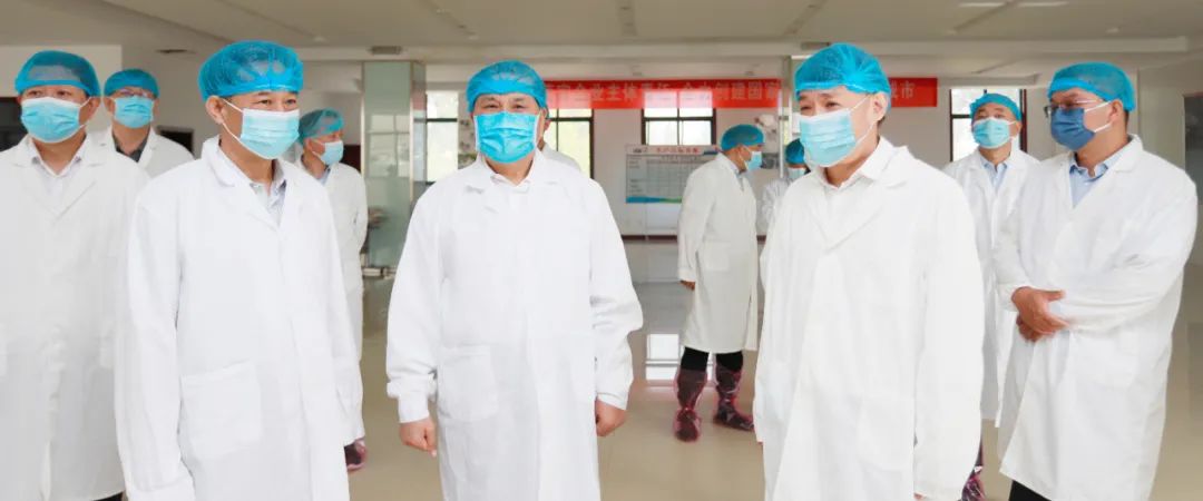 快讯丨河南省人民政府副省长武国定莅临米兰(中国)乳业集团瑞亚牧业调研奶源基地建设情况
