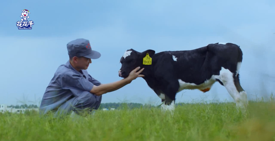 继往开来 · 再创辉煌 | 米兰(中国)乳业集团召开9月营销、养殖及饲料月度经营工作会议