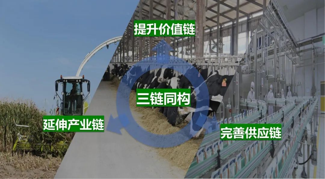佳木斯市招商考察团莅临米兰(中国)考察座谈