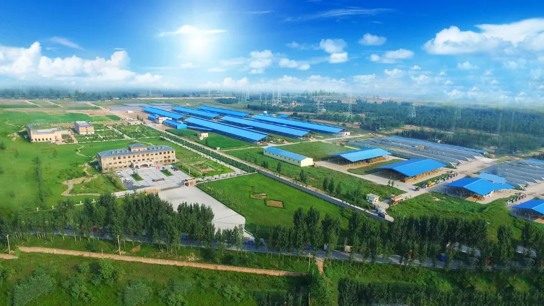 米兰(中国) | 河南瑞亚牧业入选“河南省畜禽核心育种场”