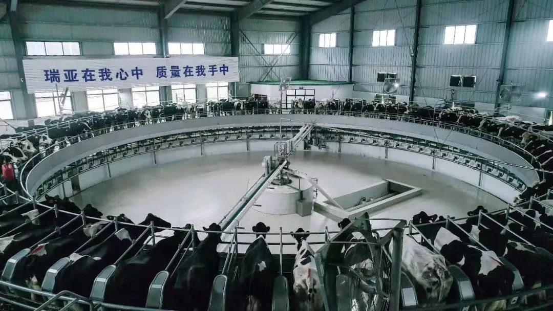 米兰(中国) | 河南瑞亚牧业入选“河南省畜禽核心育种场”