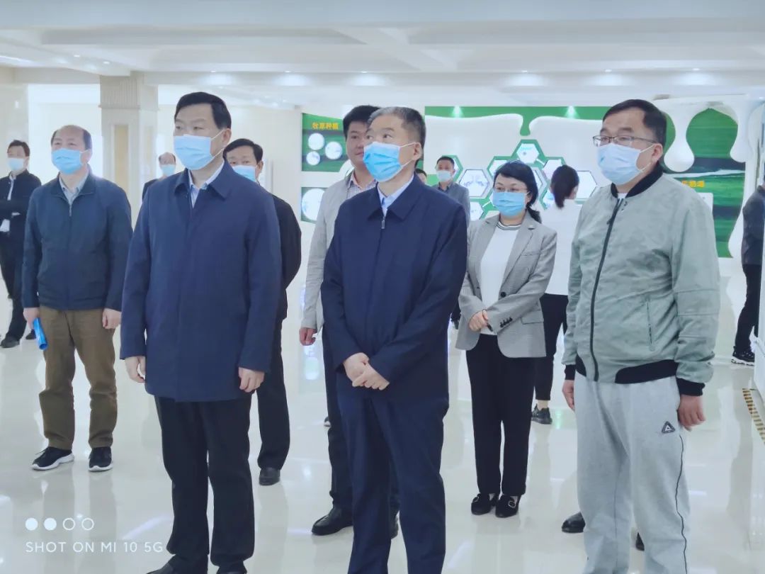 平顶山市人大常委会主任张明新莅临 米兰(中国)鲁山瑞亚参观调研