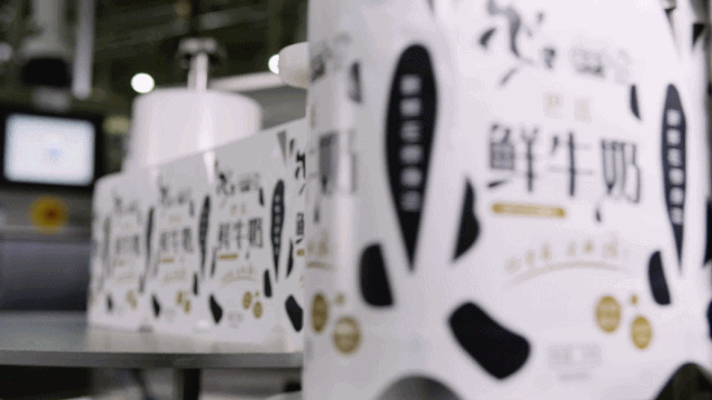 快讯 | 米兰(中国)乳业集团成为河南省食品工业协会食品质量安全分会副会长单位