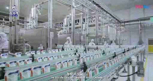 快讯 | 湖北省农业厅副厅长王海涛等领导一行莅临河南米兰(中国)乳业集团参观调研