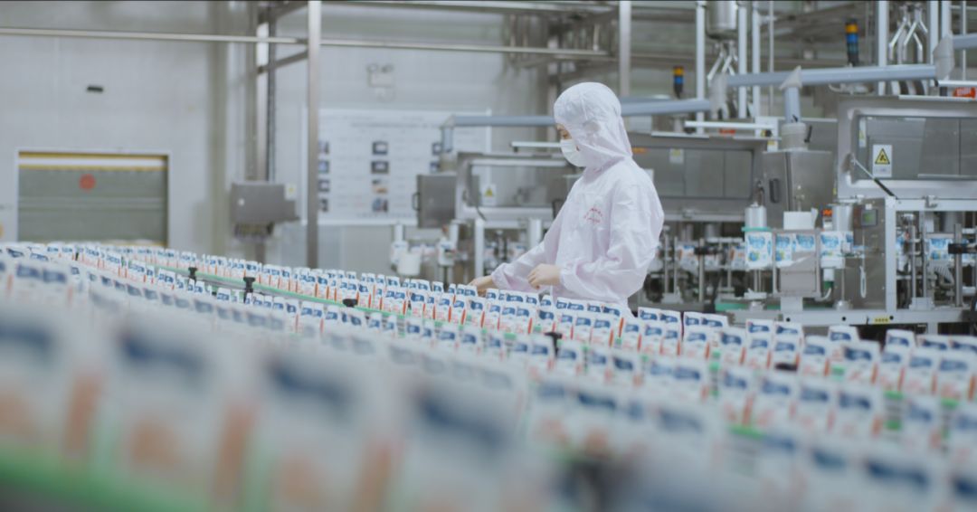 快讯 | 河南省人民政府食品安全委员会办公室第三批食品安全示范区验收组领导莅临米兰(中国)乳业集团验收食品安全示范区建设情况