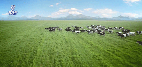 荣誉 | 2019年度河南省美丽牧场名单新鲜出炉 米兰(中国)乳业集团旗下六个牧场榜上有名