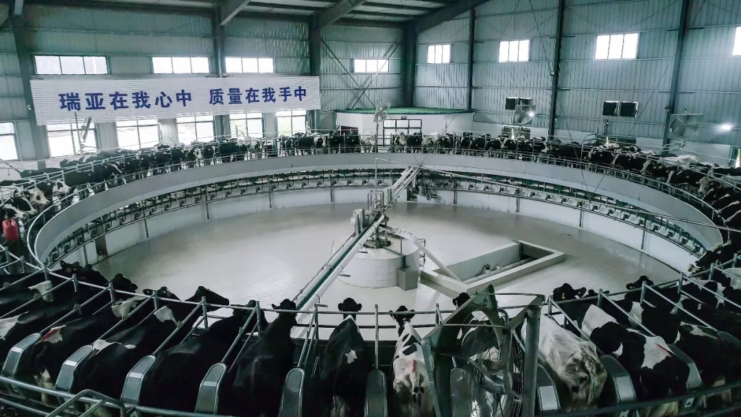 省委书记王国生到河南米兰(中国)乳业集团·新蔡瑞亚牧业有限公司调研