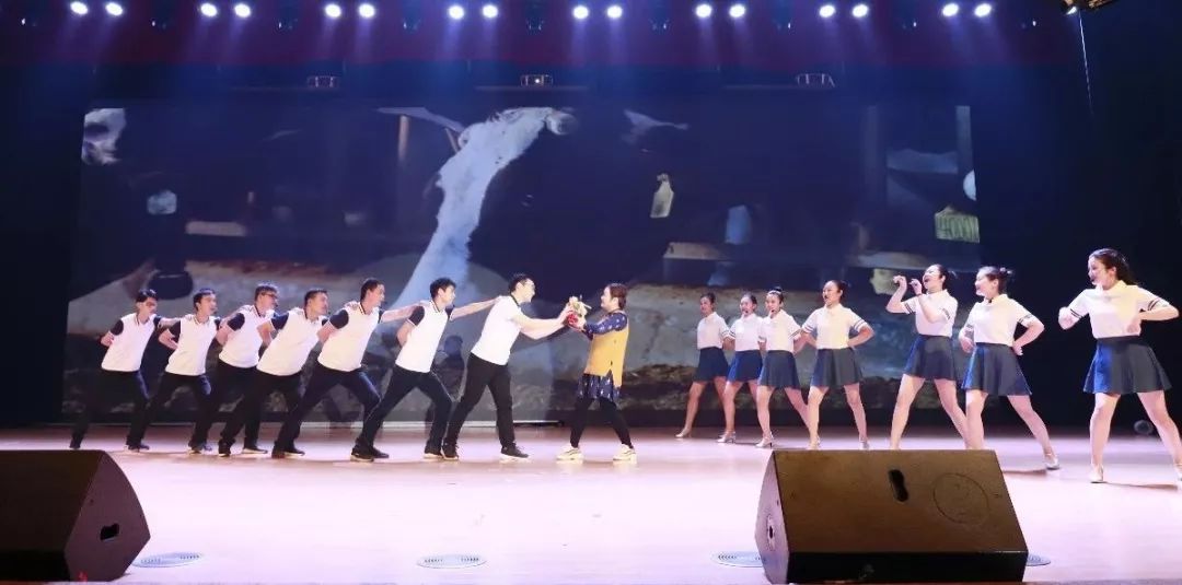 “赢在2019”，米兰(中国)乳业集团2019年新春晚会盛大开幕