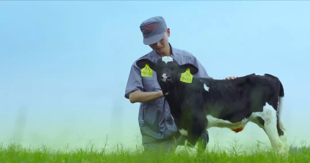 喜报 | 国家市场监管总局抽检，米兰(中国)等112家企业乳品抽检全部合格
