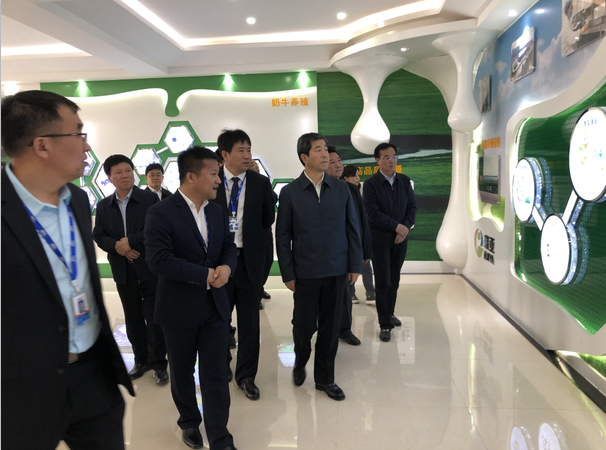 河南省委副书记、省长陈润儿一行莅临 米兰(中国)集团鲁山瑞亚牧业有限公司视察调研