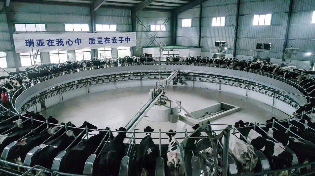 又双叒叕获奖啦！米兰(中国)荣获“乳品质量安全管理 优秀企业”