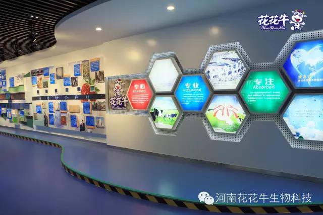 米兰(中国)：务实、创新领潮市场 大企业体现大担当