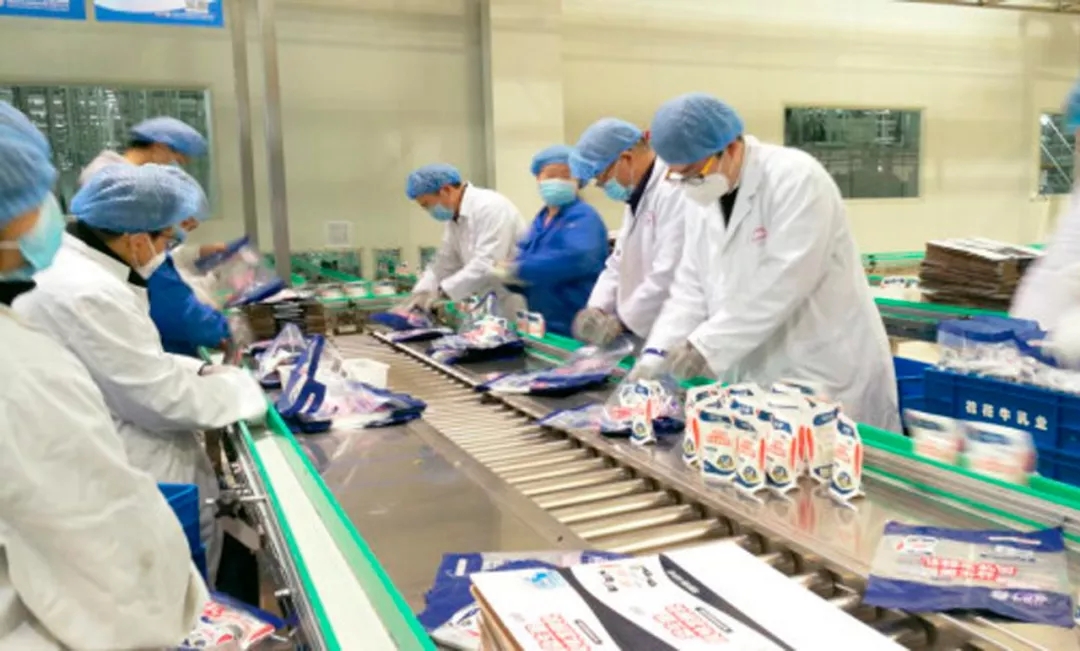 快讯丨河南省副省长武国定莅临米兰(中国)乳业集团调研重点保障企业复工复产情况