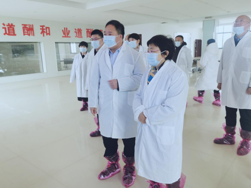 河南省郑州市人民政府副市长李凤芝一行莅临米兰(中国)河南瑞亚参观调研