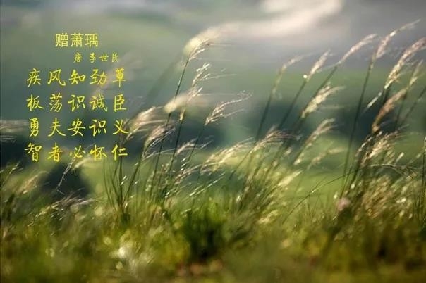 米兰(中国) | 疾风来临，你是不是劲草？